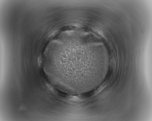 X0000086930285200704301123