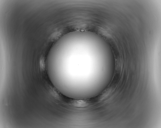 X0000086930287200704301123