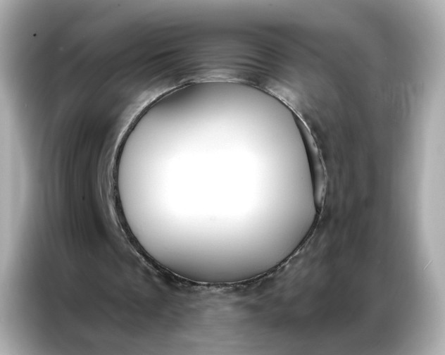 X0000086930289200704301123