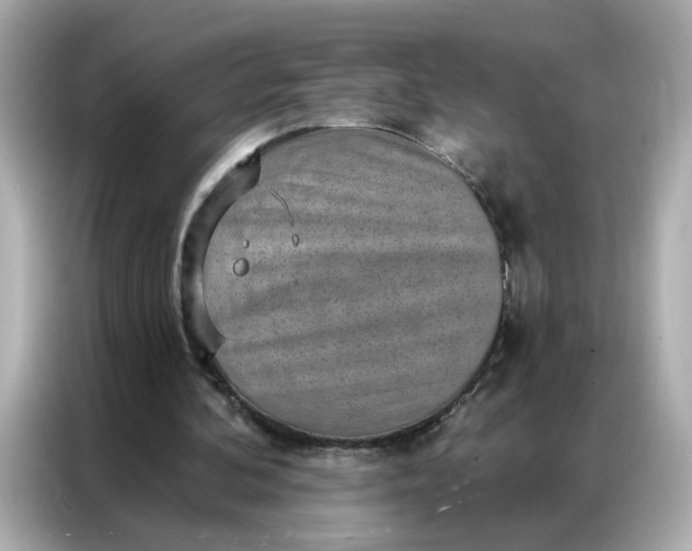 X0000086930292200704301122