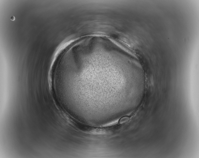 X0000086930294200704301122