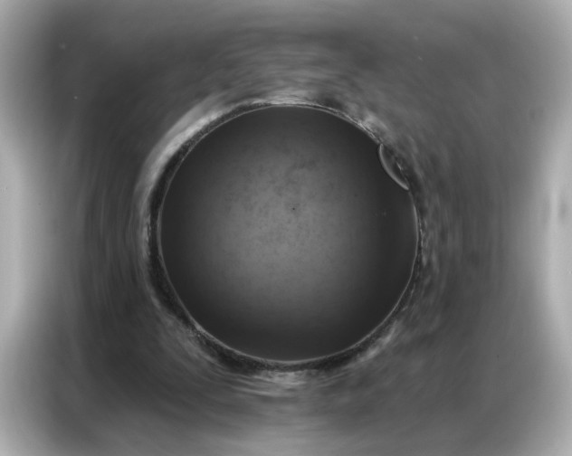 X0000086930295200704301122