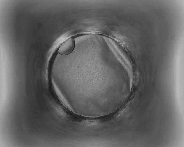 X0000086930296200704301122