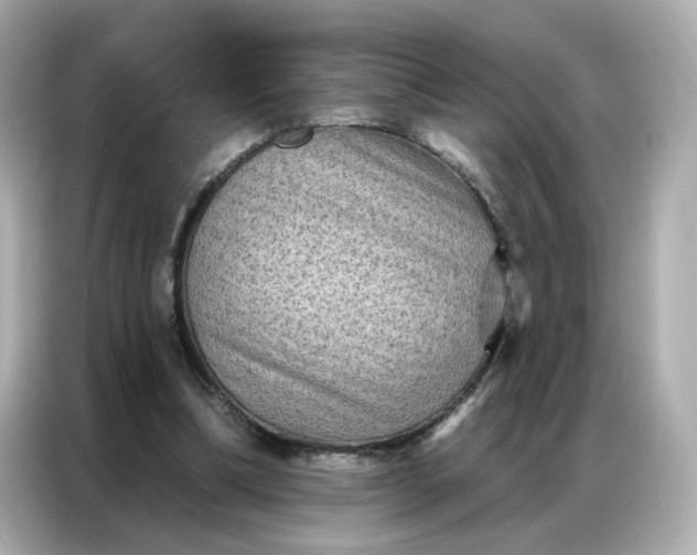 X0000086930298200704301122