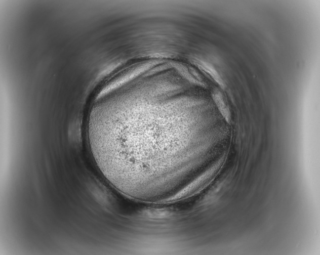 X0000086930299200704301122