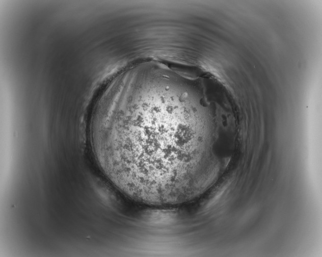 X0000086930303200704301122