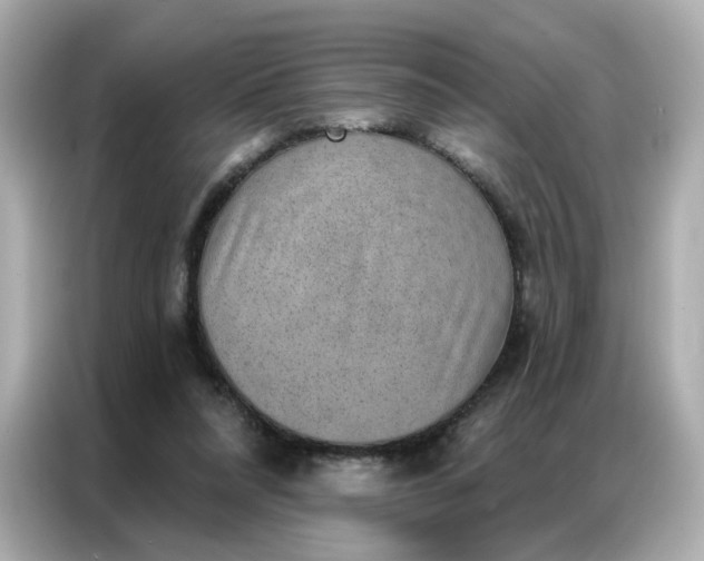 X0000086930304200704301122