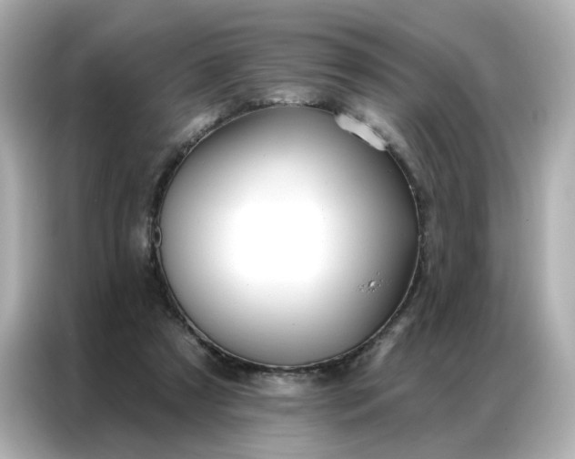 X0000086930305200704301122