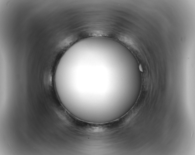 X0000086930310200704301122