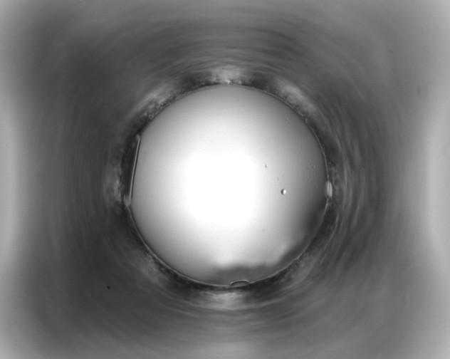 X0000086930313200704301122