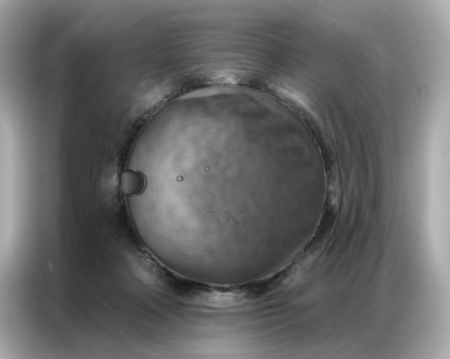 X0000086930314200704301122