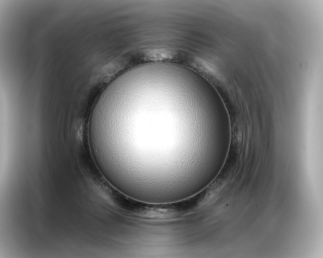 X0000086930315200704301122