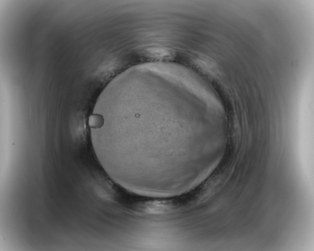 X0000086930320200704301122