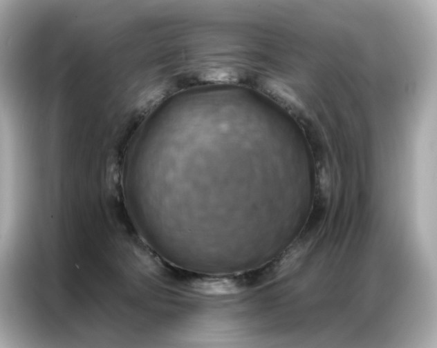 X0000086930322200704301122