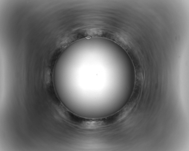 X0000086930323200704301122