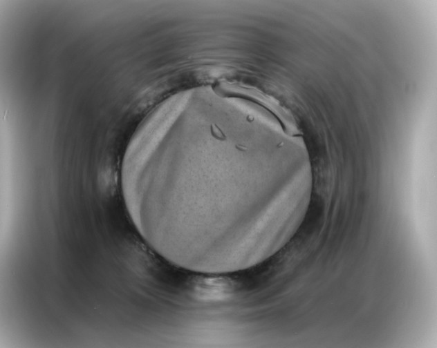 X0000086930324200704301122