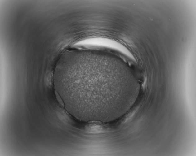 X0000086930325200704301122