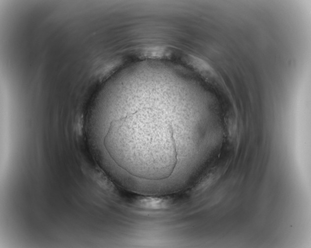 X0000086930326200704301122