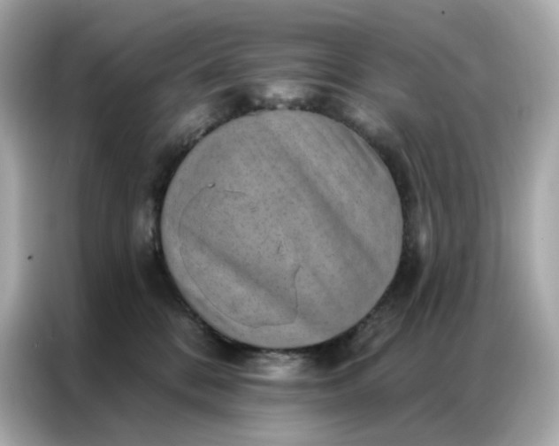 X0000086930328200704301122