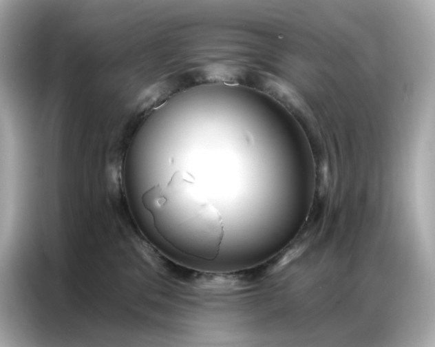 X0000086930329200704301122