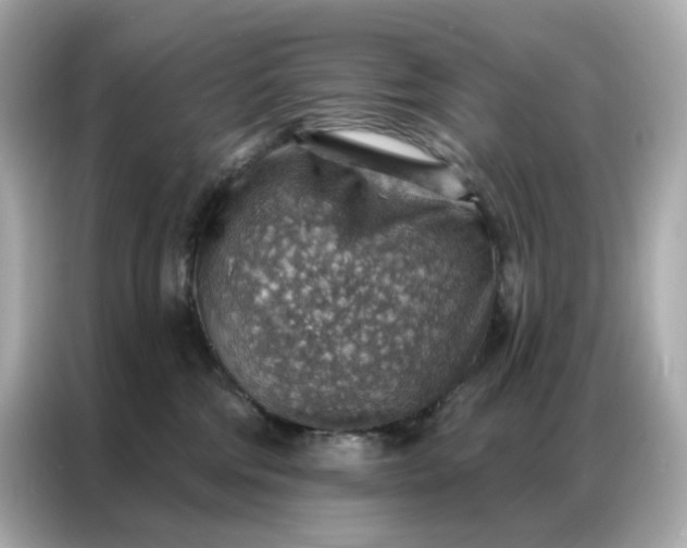 X0000086930330200704301122