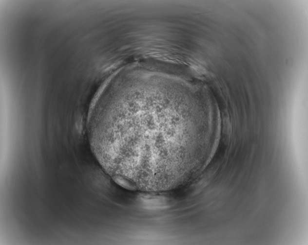 X0000086930331200704301122