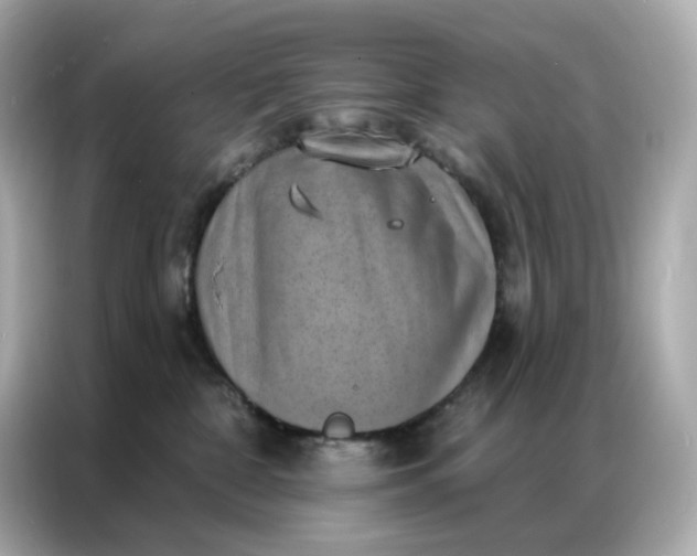 X0000086930332200704301122