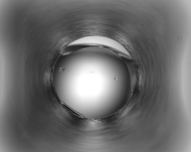 X0000086930333200704301122