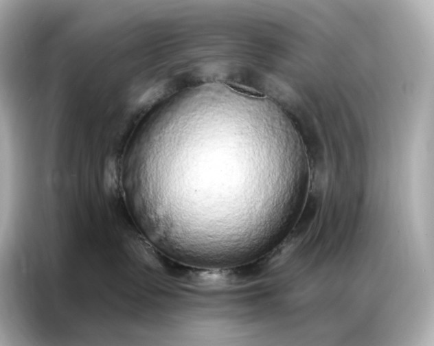 X0000086930335200704301122