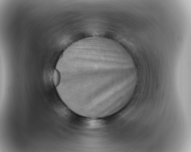 X0000086930336200704301122