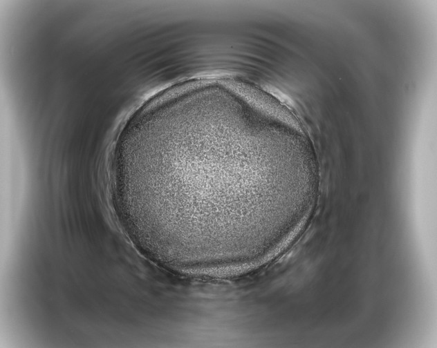 X0000086930337200704301121