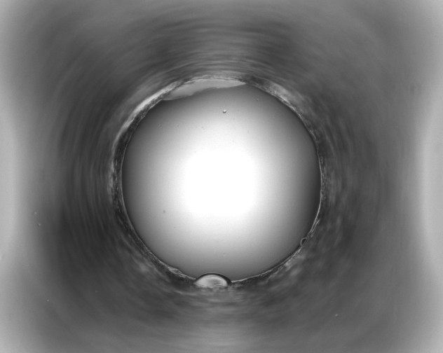 X0000086930338200704301121