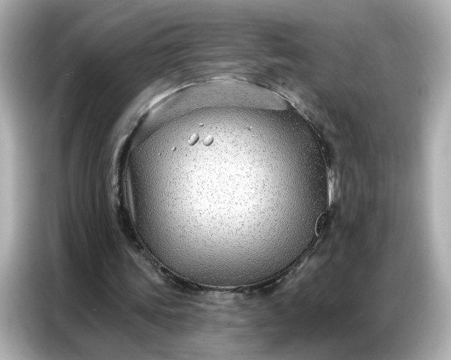 X0000086930339200704301121