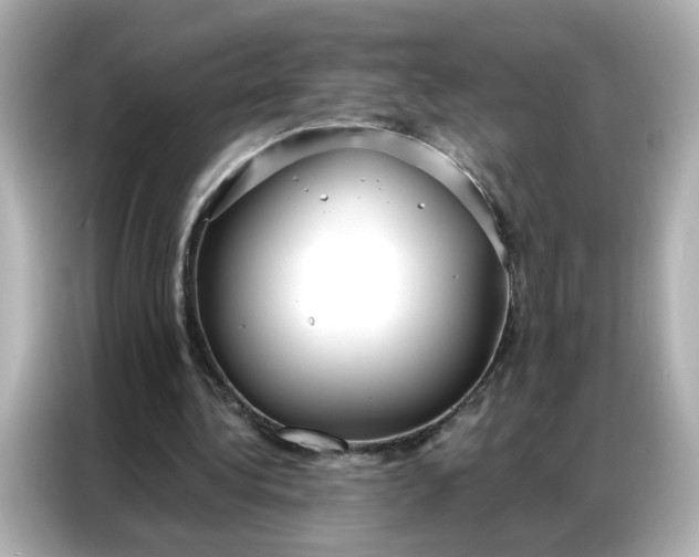 X0000086930340200704301121