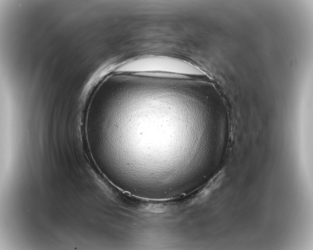 X0000086930341200704301121