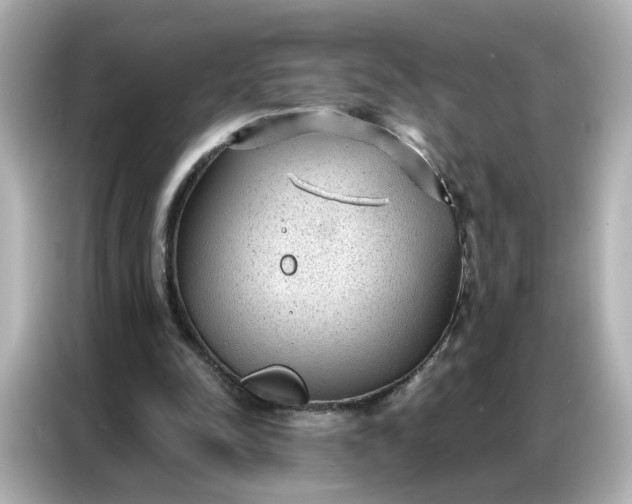 X0000086930342200704301121