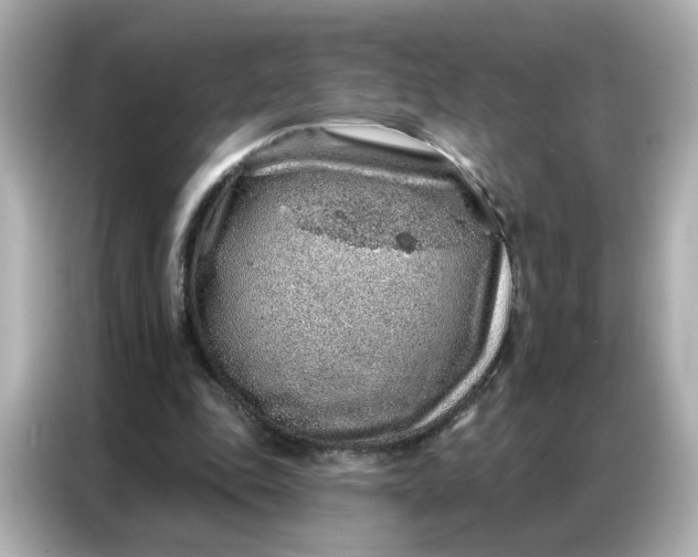 X0000086930343200704301121