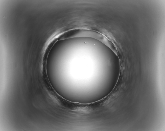 X0000086930344200704301121