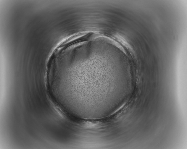 X0000086930346200704301121