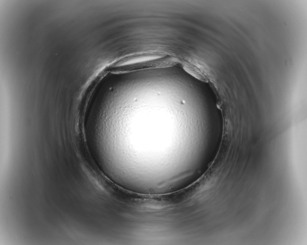 X0000086930347200704301121