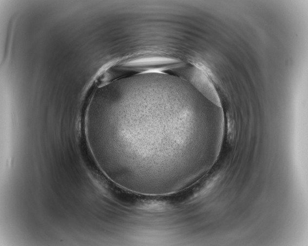 X0000086930348200704301121