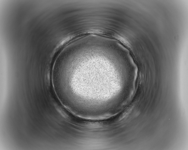 X0000086930349200704301121