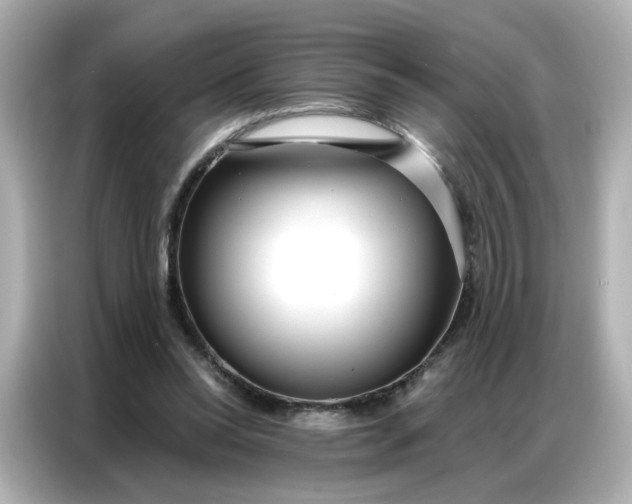 X0000086930350200704301121