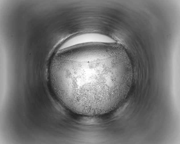 X0000086930351200704301121