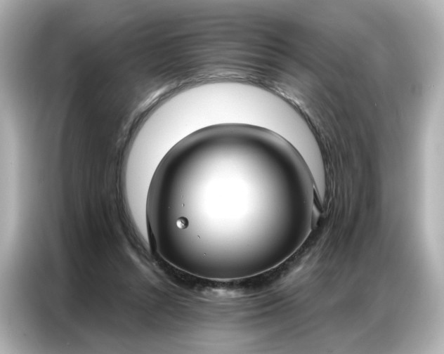 X0000086930352200704301121