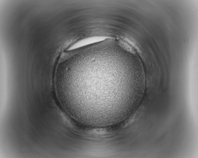 X0000086930353200704301121