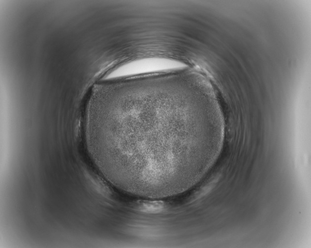 X0000086930355200704301122