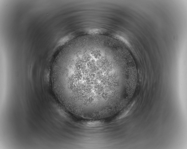 X0000086930357200704301122