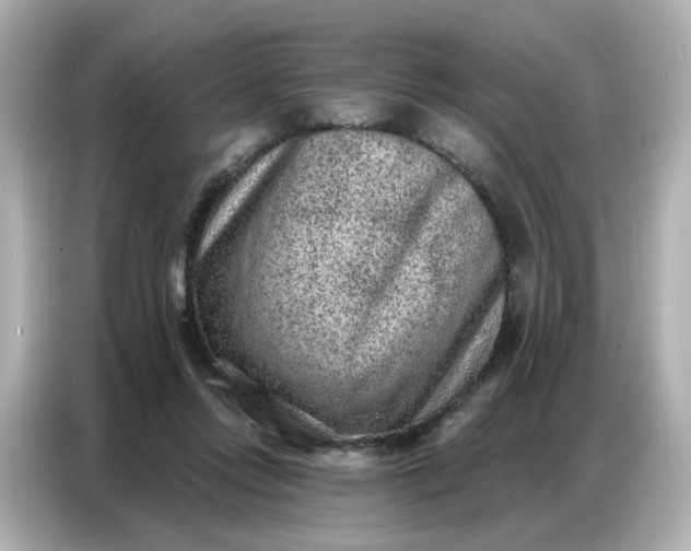 X0000086930358200704301122