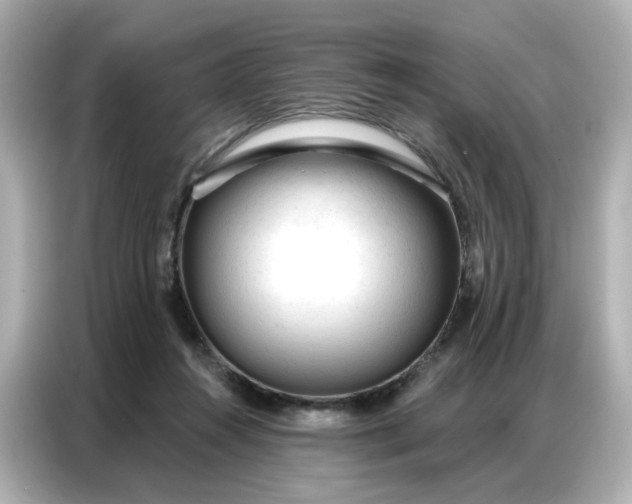 X0000086930360200704301122